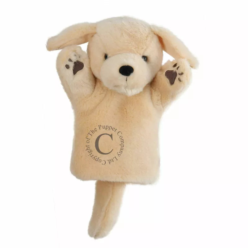 A Labrador puppet with the letter "c" on it, perfect for kids' puppet shows.