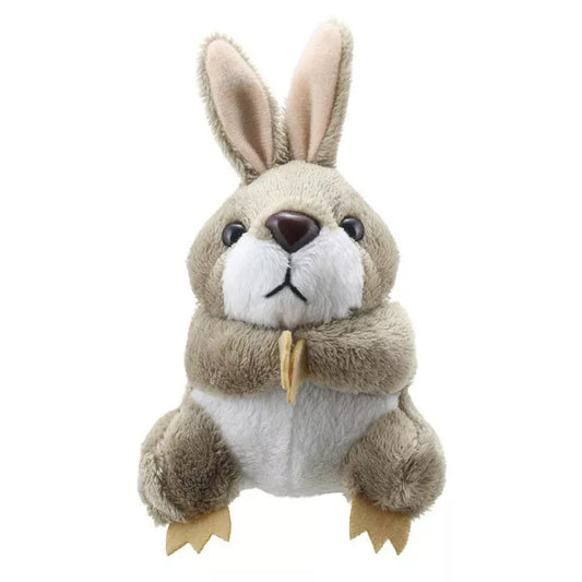 A Kids' Puppet Show featuring a Rabbit Finger Puppet on a white background.