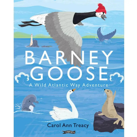 Book cover illustration for "Barney Goose," a delightful Irish picture book featuring a goose in a red hat flying over the sea, with seals, a dolphin, and birds below.
