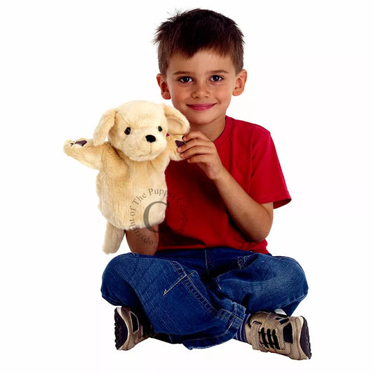 A boy excitedly holds the Labrador Puppet from The Puppet Company CarPets, ready for a fun-filled puppet show with kids.