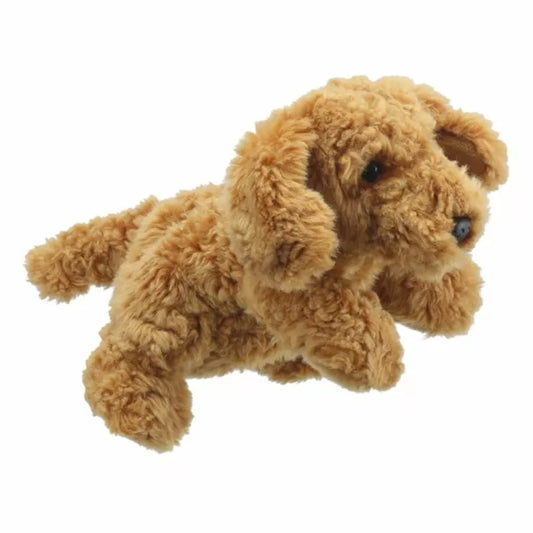 A brown Full-bodied Hand Puppet Cockapoo is flying on a white background.