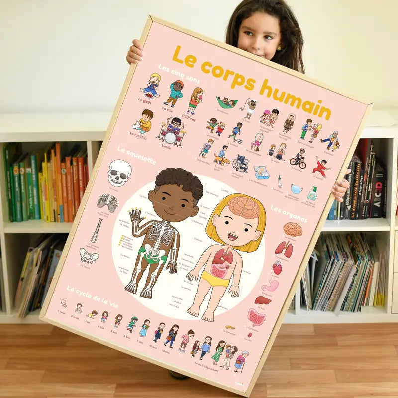 A child holds the Poppik Discovery Sticker Poster – Human Body, a large, colorful French poster with labeled diagrams, stickers, and illustrations of organs, skeleton, senses, and life cycle for fun educational learning.