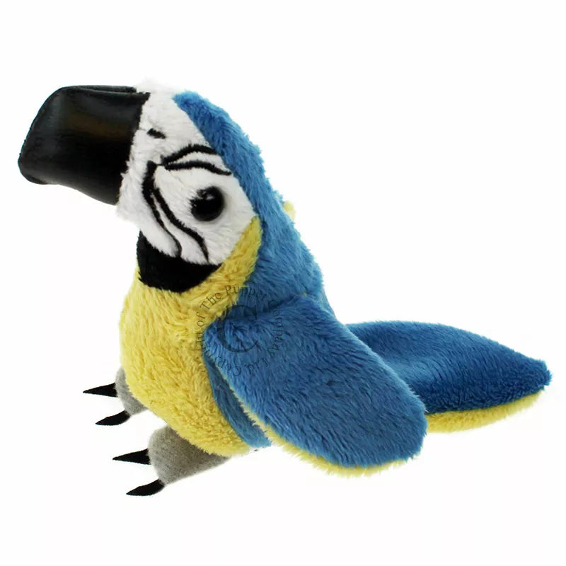 The Puppet Company Blue & Gold Macaw Finger Puppet is sitting on a white background, perfect for puppet shows for kids.