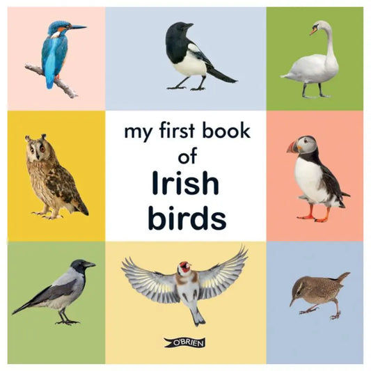The board book "My First Book of Irish Birds" features eight Irish bird illustrations in a grid of pastel squares on its cover, creating a charming introduction for young readers.