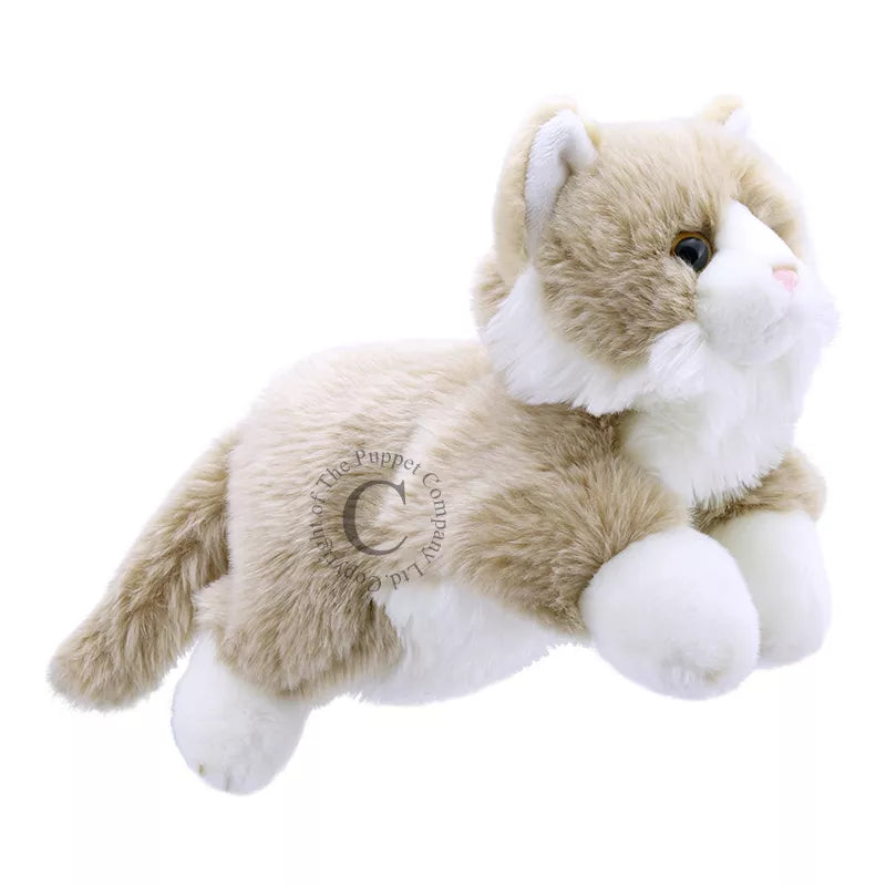 The Puppet Company Full-bodied Hand Puppet Cat is flying on a white background.