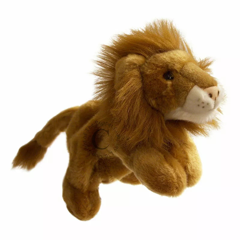 The Puppet Company Full-bodied Hand Puppet Lion is flying on a white background.