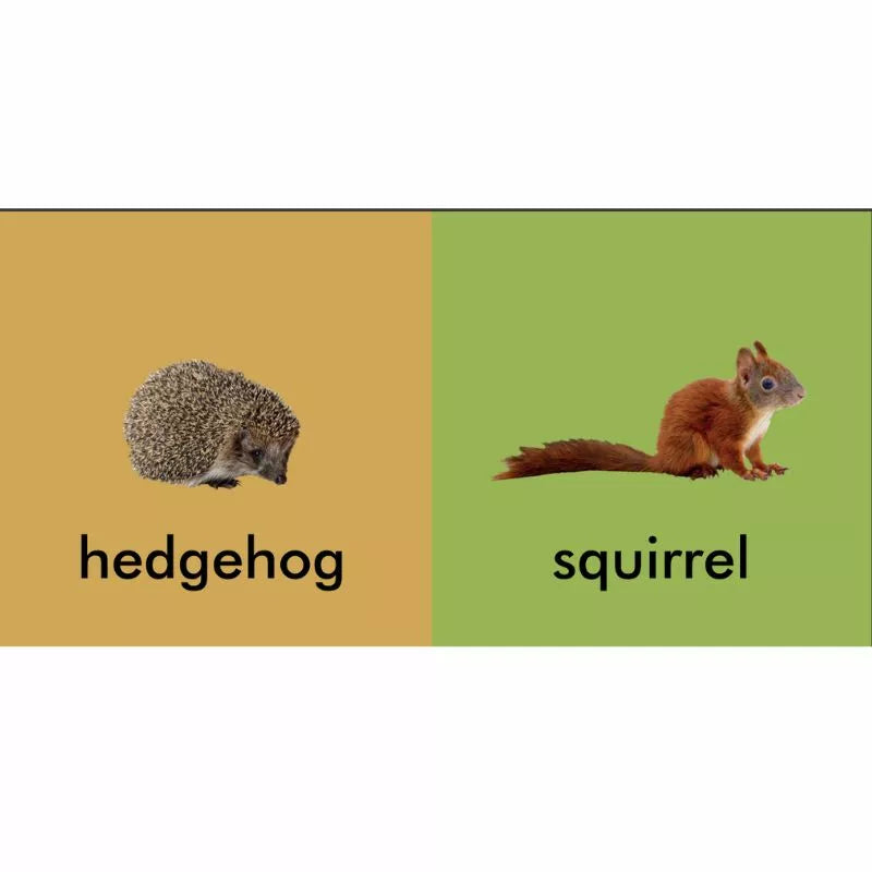 My First Book of Irish Wildlife featuring adorable pictures of a hedgehog and a squirrel.