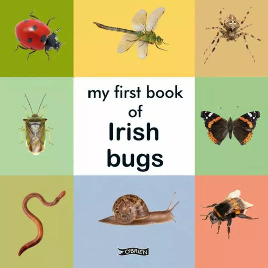 My My First Book of Irish Bugs combines my love of reading with fascinating information about a variety of tiny creatures found in Ireland. From beautiful butterflies to curious beetles, this delightful book will capture the reader's attention.