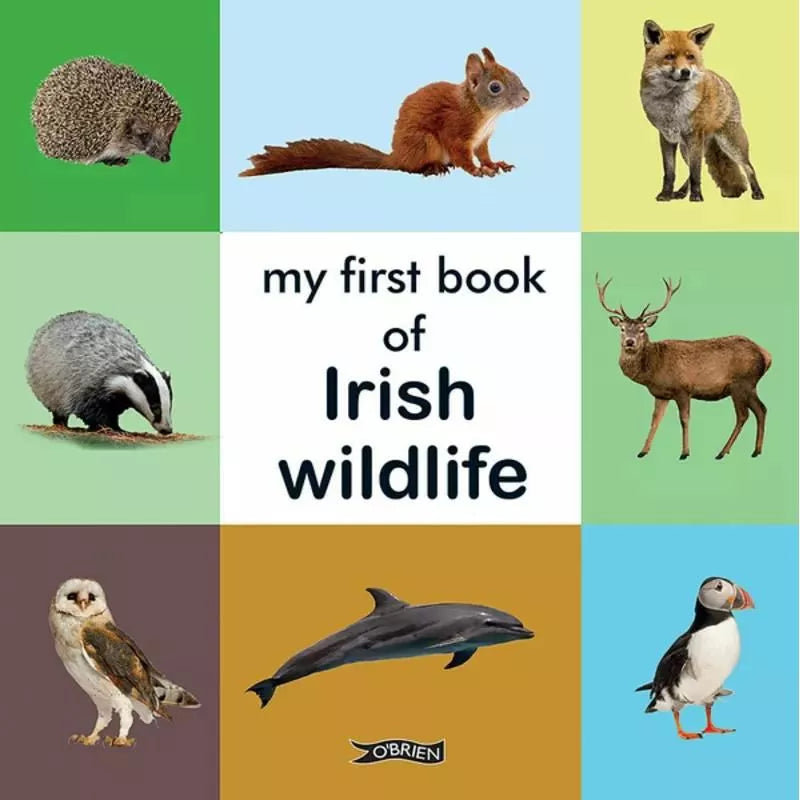 My My First Book of Irish Wildlife exploring Irish wildlife.