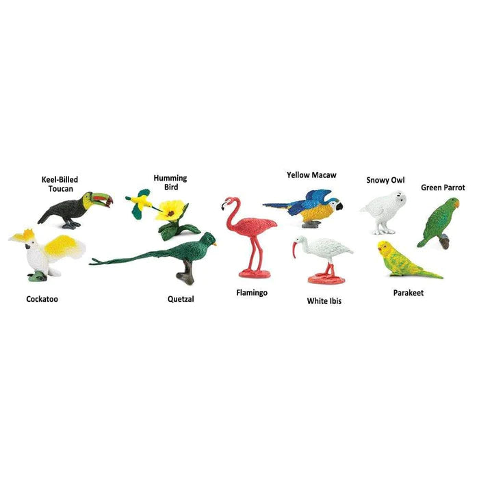 A group of TOOBS® Figurines Exotic Birds, perfect for kids, are shown on a white background.