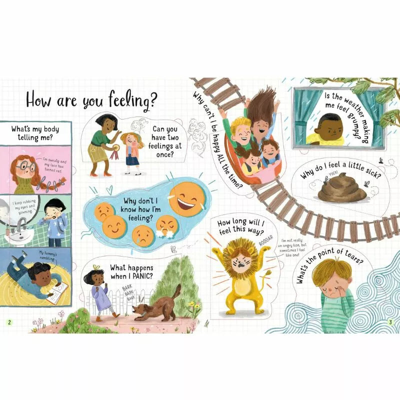 How are you feeling? Are you happy all the time, or do you sometimes feel sad? Have you tried Usborne Lift-the-flap Questions and Answers about Feelings?